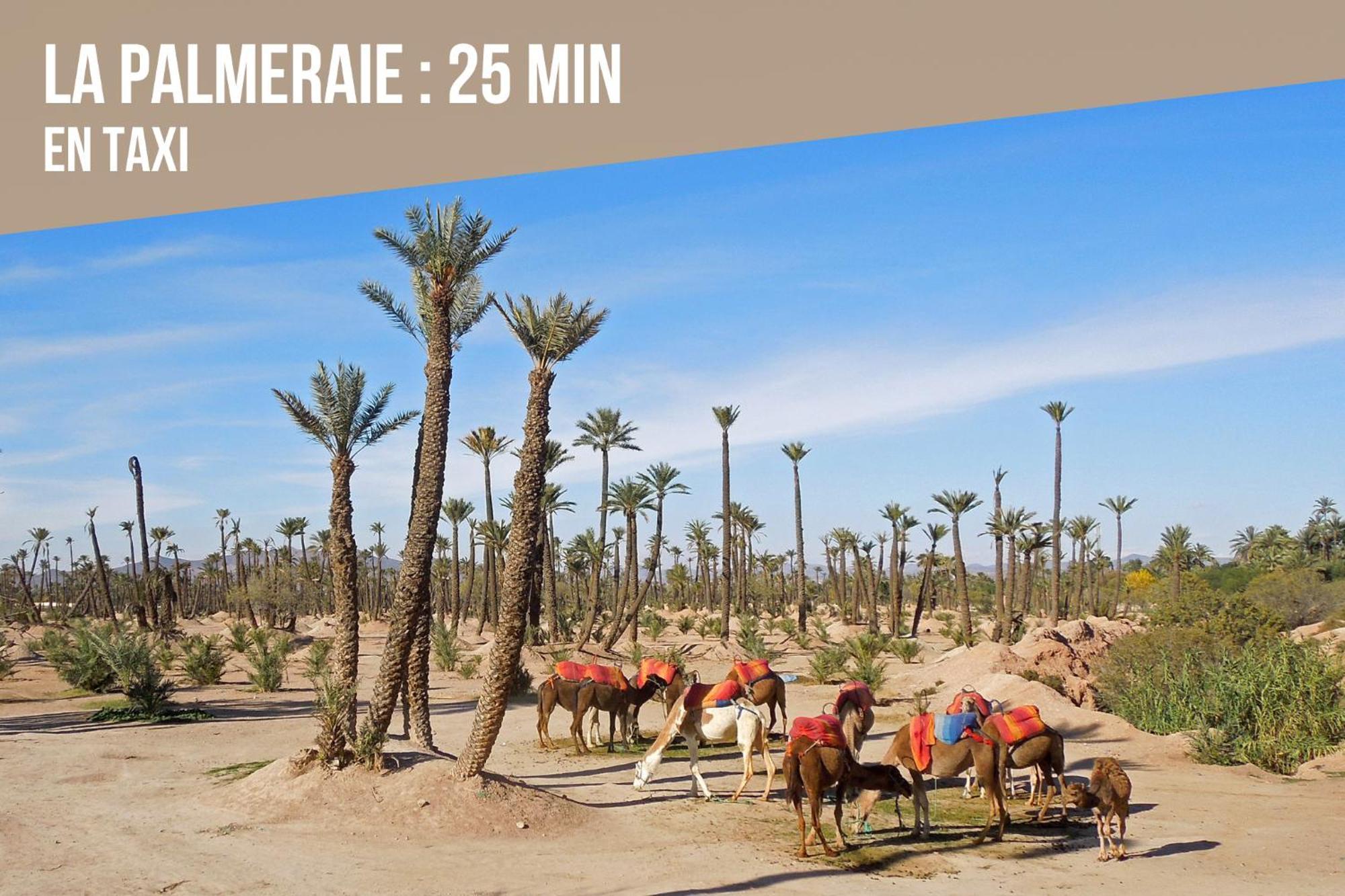Magnifique Appartement Moderne De 2 Chambres Avec Piscine A 10 Min Du Centre De Marrakech Марракеш Экстерьер фото